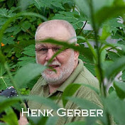 Henk Gerber