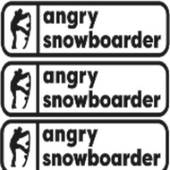 Angry Snowboarder net worth