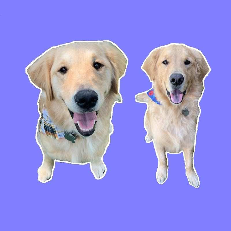BoomerTube icon