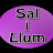 Sal i Llum