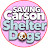Saving Carson ShelterDogs