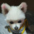@user-yd7hy6vp1q