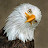 @brooks655's avatar