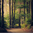 9eZgZccj7QU-channel-avatar-Innovative Dhamma