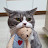 youtube avatar