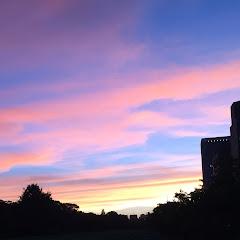 ポールアイコン画像