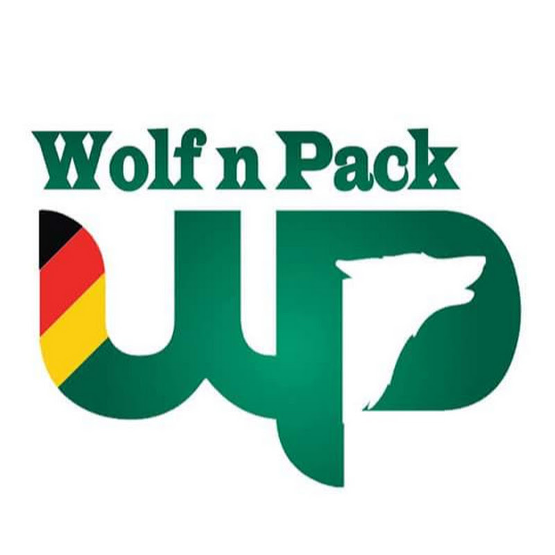 Wolf N Pack Dog Training and K9 Security Service Pvt. Ltd. icon