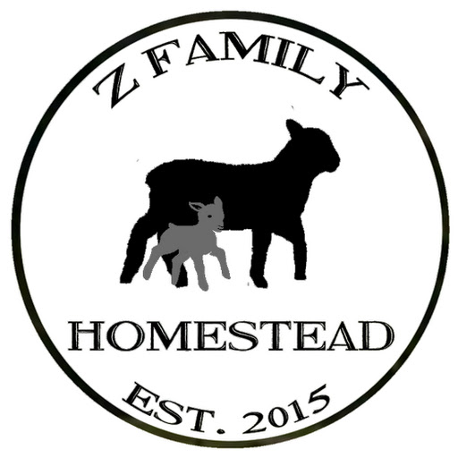 Country Living Experience: A Homesteading Journey