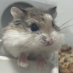 minkuma