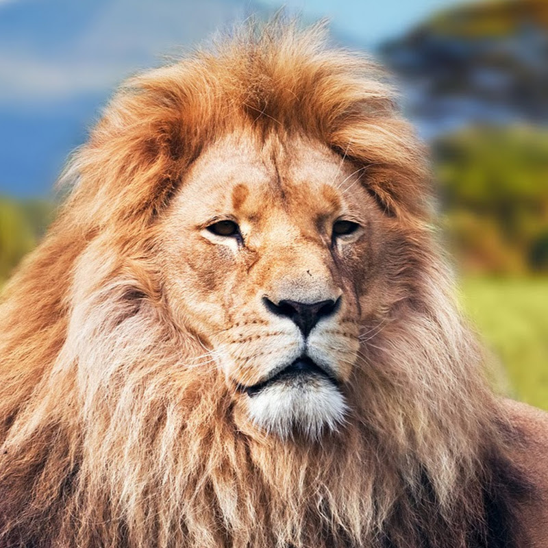 Africa Endeavours