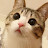 @user-lq7em5gm2y