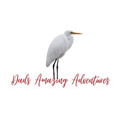 Dad's Amazing Adventures net worth