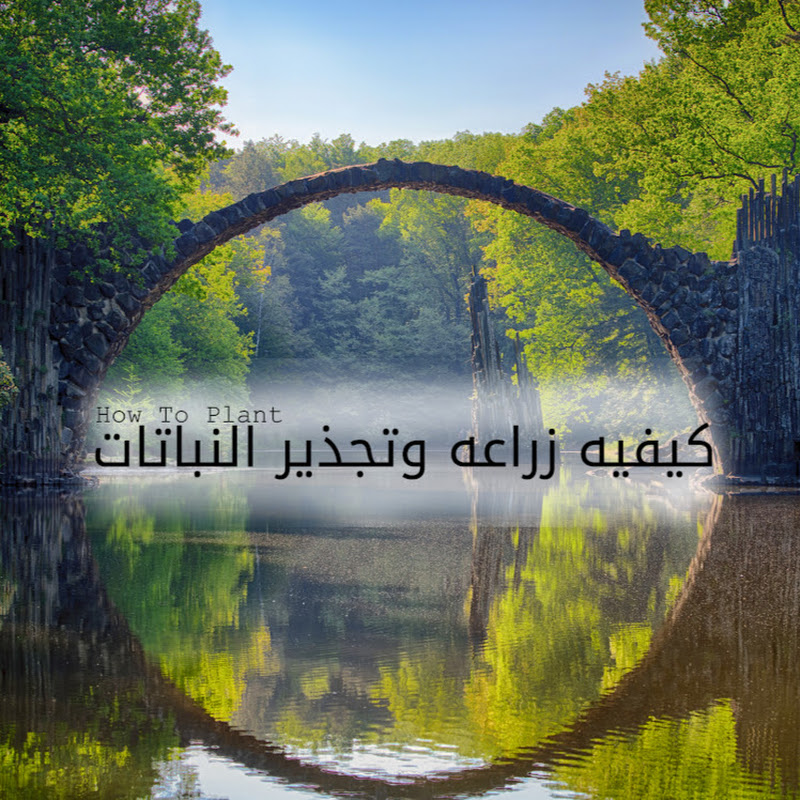 How To Plant كيفية زراعة وتجذير النباتات