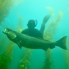 JRM Fishing
