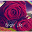 @brightlife828