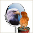 3rOjrBSx6yI-channel-avatar-Soarin' & Scratchin'