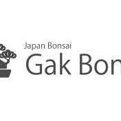 gak bonsai
