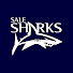 vs9DXLNLsXQ-channel-avatar-Sale Sharks