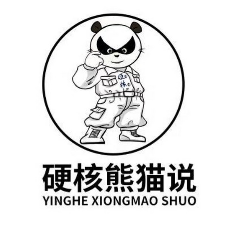 硬核熊猫说 Logo