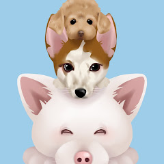 めはまど, channel【保護犬預かり】 “mehama dog channel”