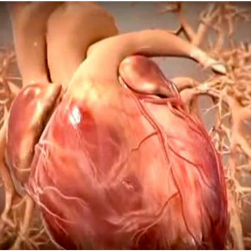 Paramedic Cardiology Simulation Training Videos