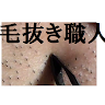 毛抜き職人 Hair Removal Specialist