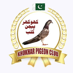 Khokhar Pigeons Club Avatar