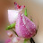 avatar of @samirahmed321