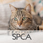 Norfolk SPCA Adoption Center logo