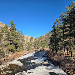 Thomas Moore net worth