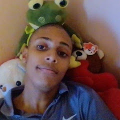 Gustavo Noobees