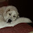 @sjohnson1776 Avatar