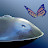 @ambientguitar6832's avatar