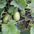 @user-sq9gm7zf9c