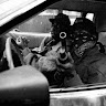 Автор