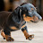 @user-uz9lq1vw5w