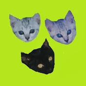3びきのこねこ
