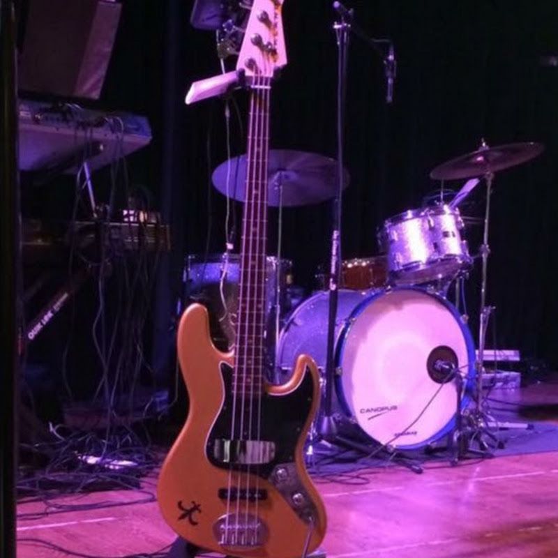 Gigging Bass Player