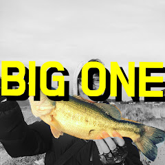 BIGONE TV