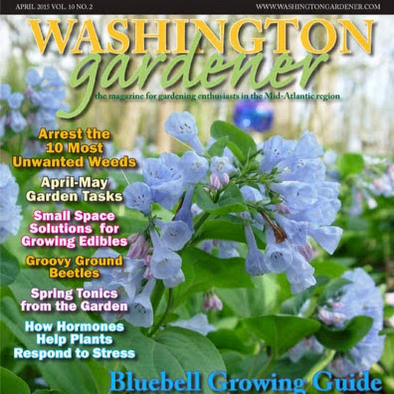 Washington Gardener Magazine