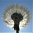 WP5EE3LagTc-channel-avatar-John Everett