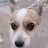 @lizziewohlgemuth2741 Avatar