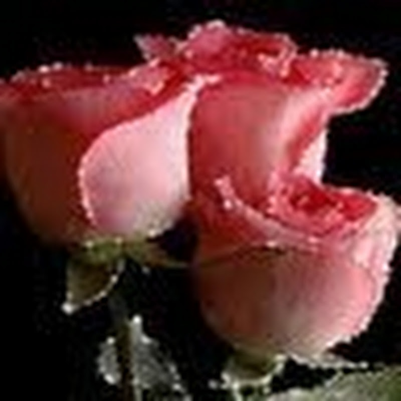 Priyanka Choudhary