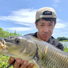 チーコイ（チーコイ）アイコン画像