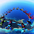 6xYmggj1K-o-channel-avatar-Fane Marc