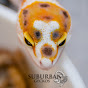 Suburban Geckos logo