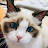 @김삐약-u9u
