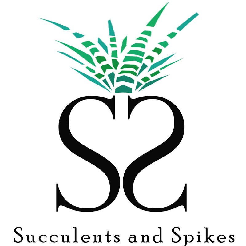 Succulents and Spikes