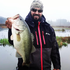bassnquack