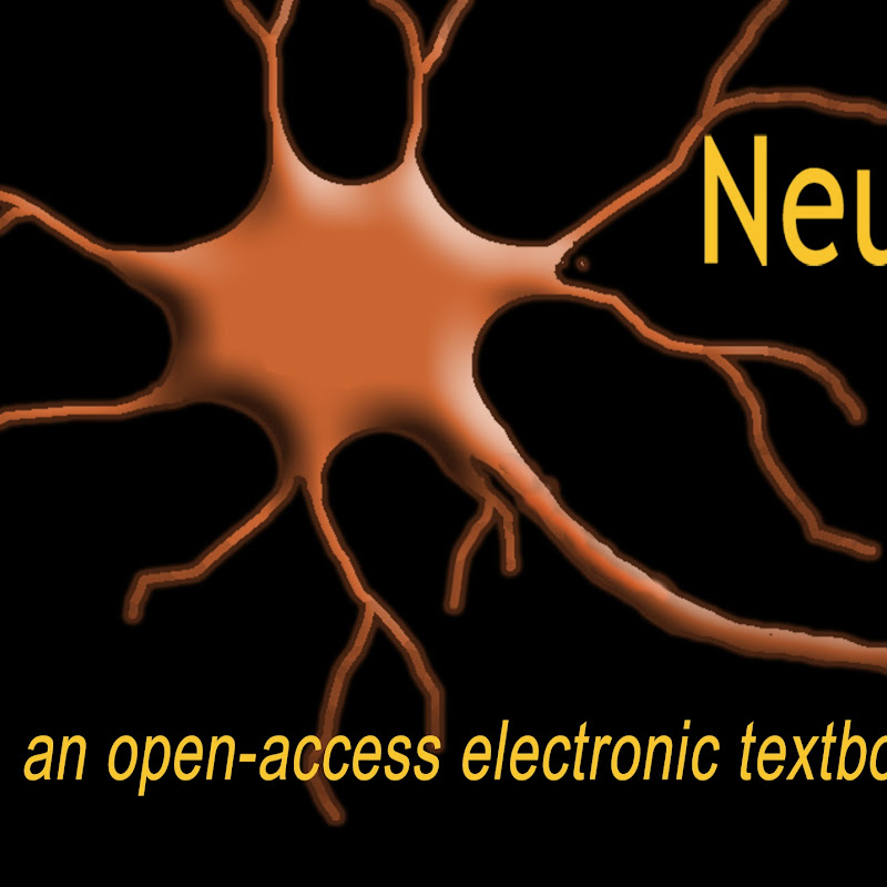 Neuroscience Online Logo